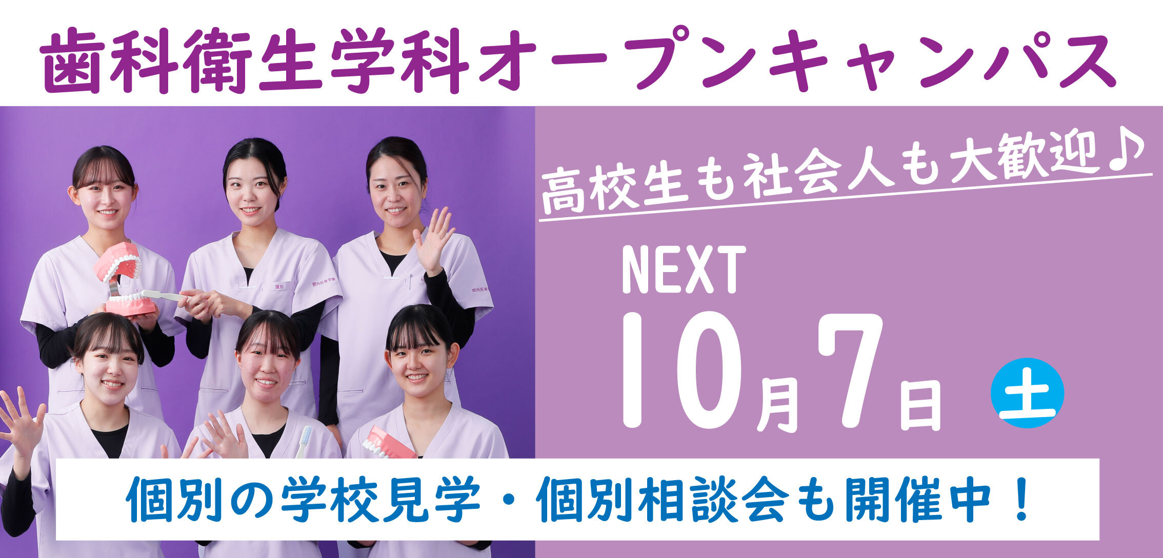 10月D科OC