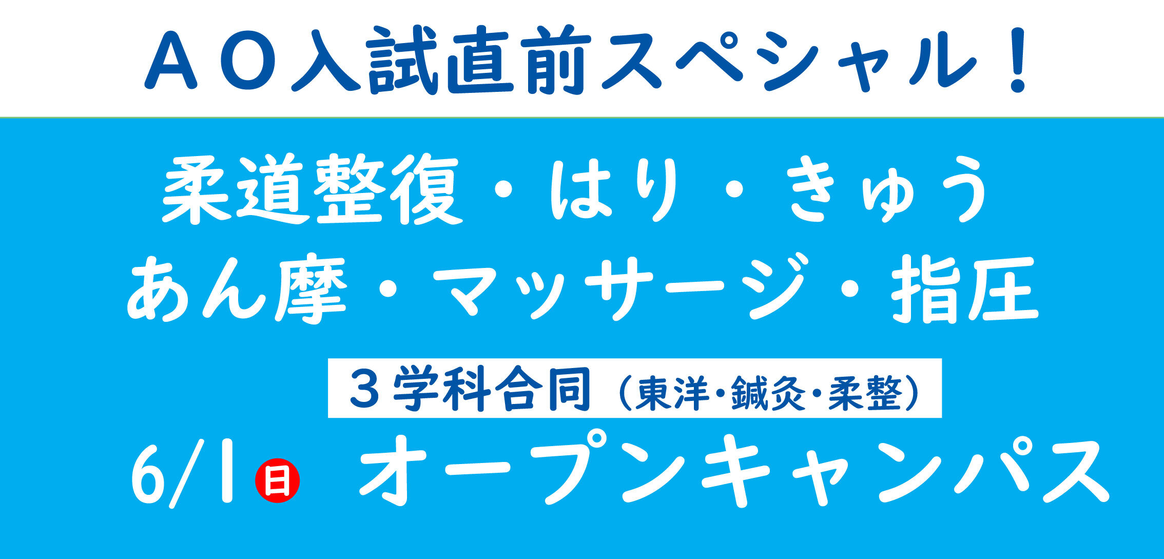 ＳＴＪ科OC