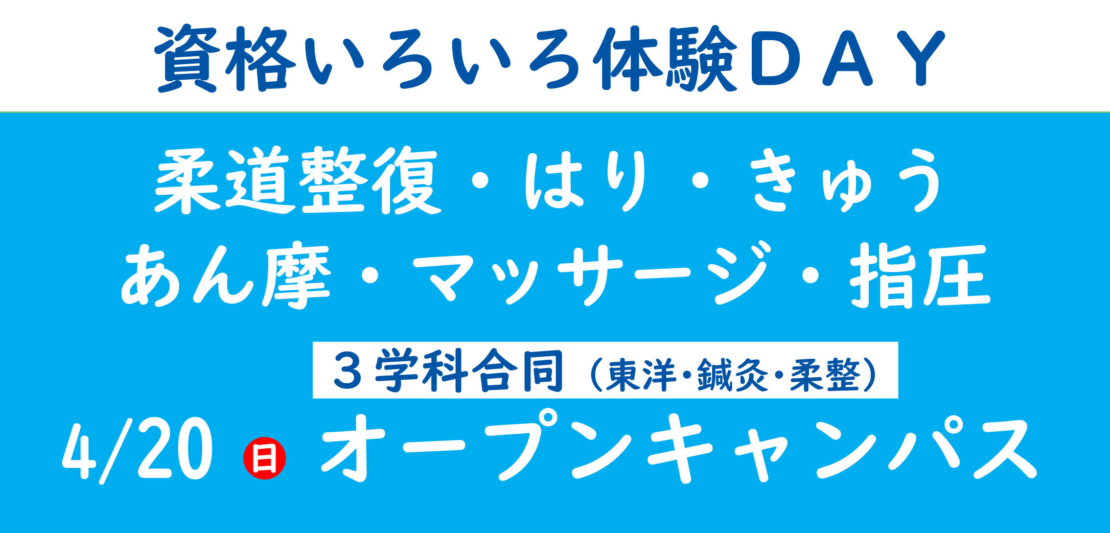 ＳＴＪ科OC