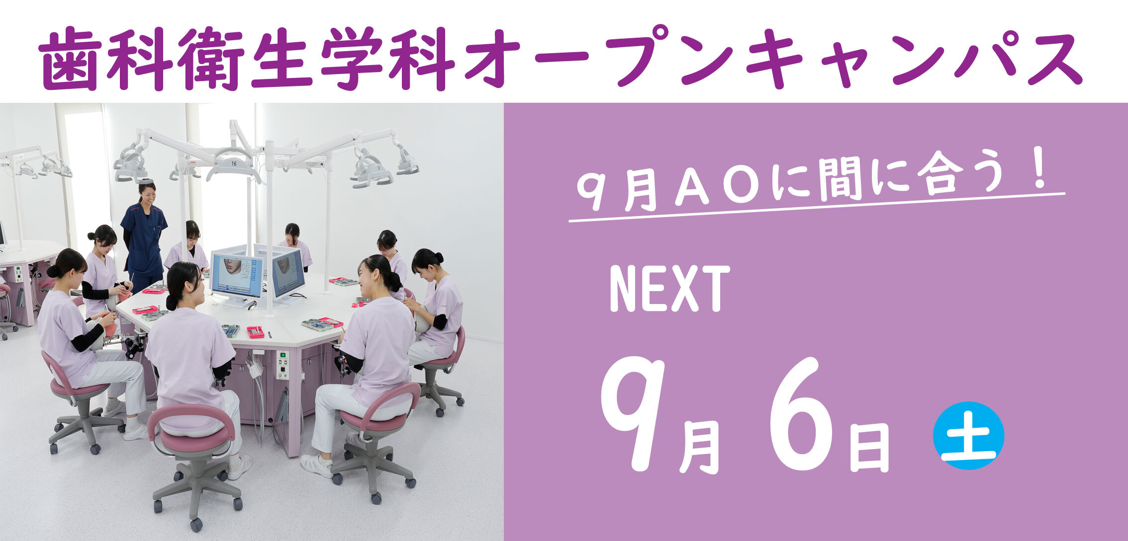 D科OC