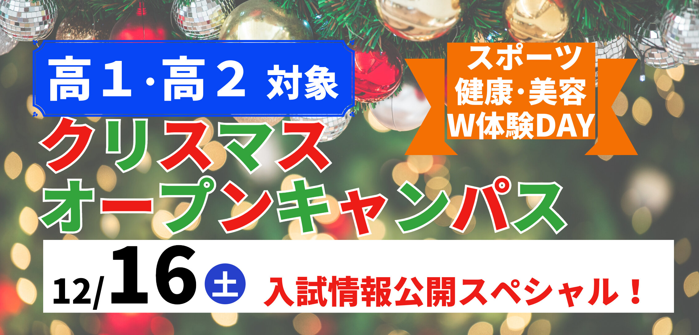 クリスマスオープンキャンパス