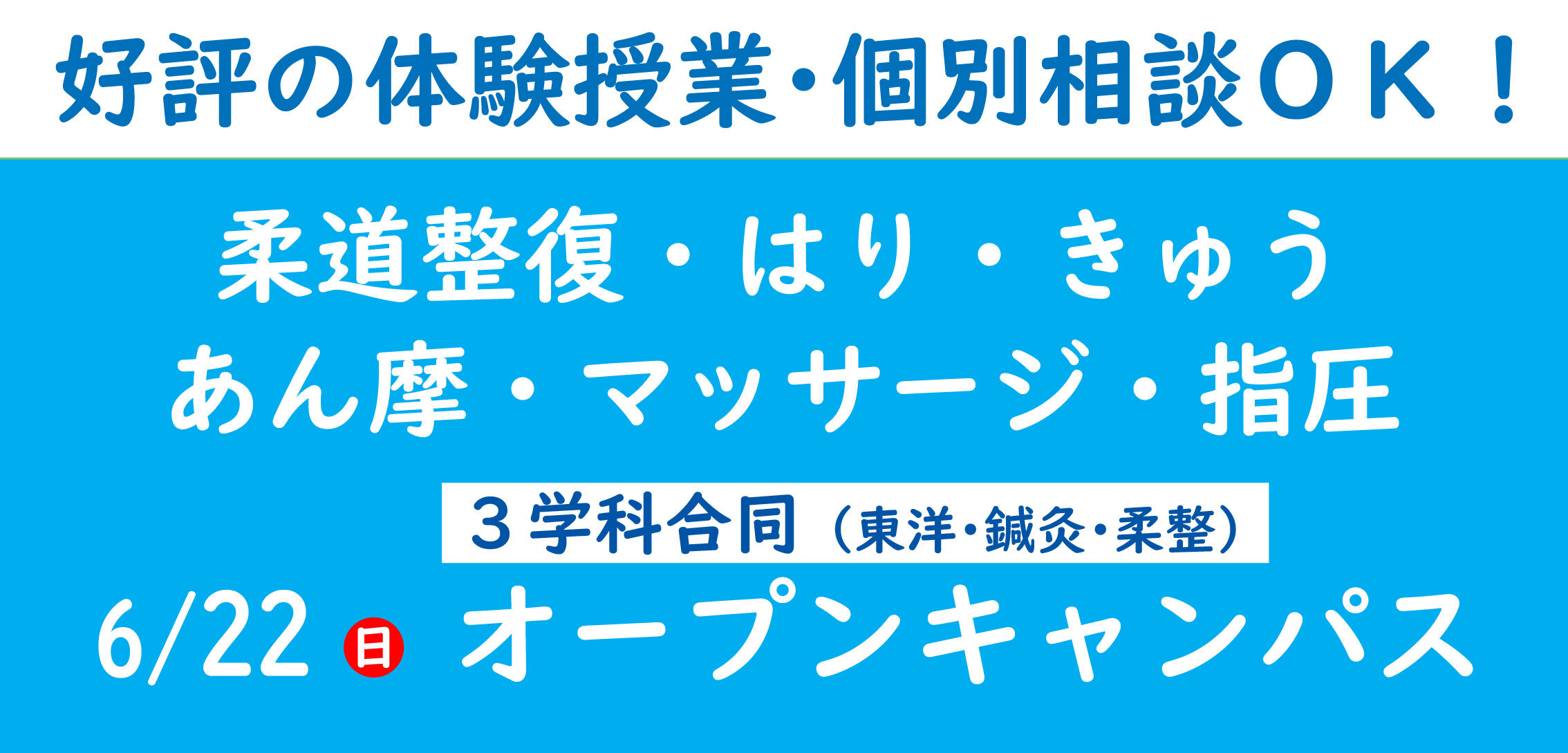 ＳＴＪ科OC