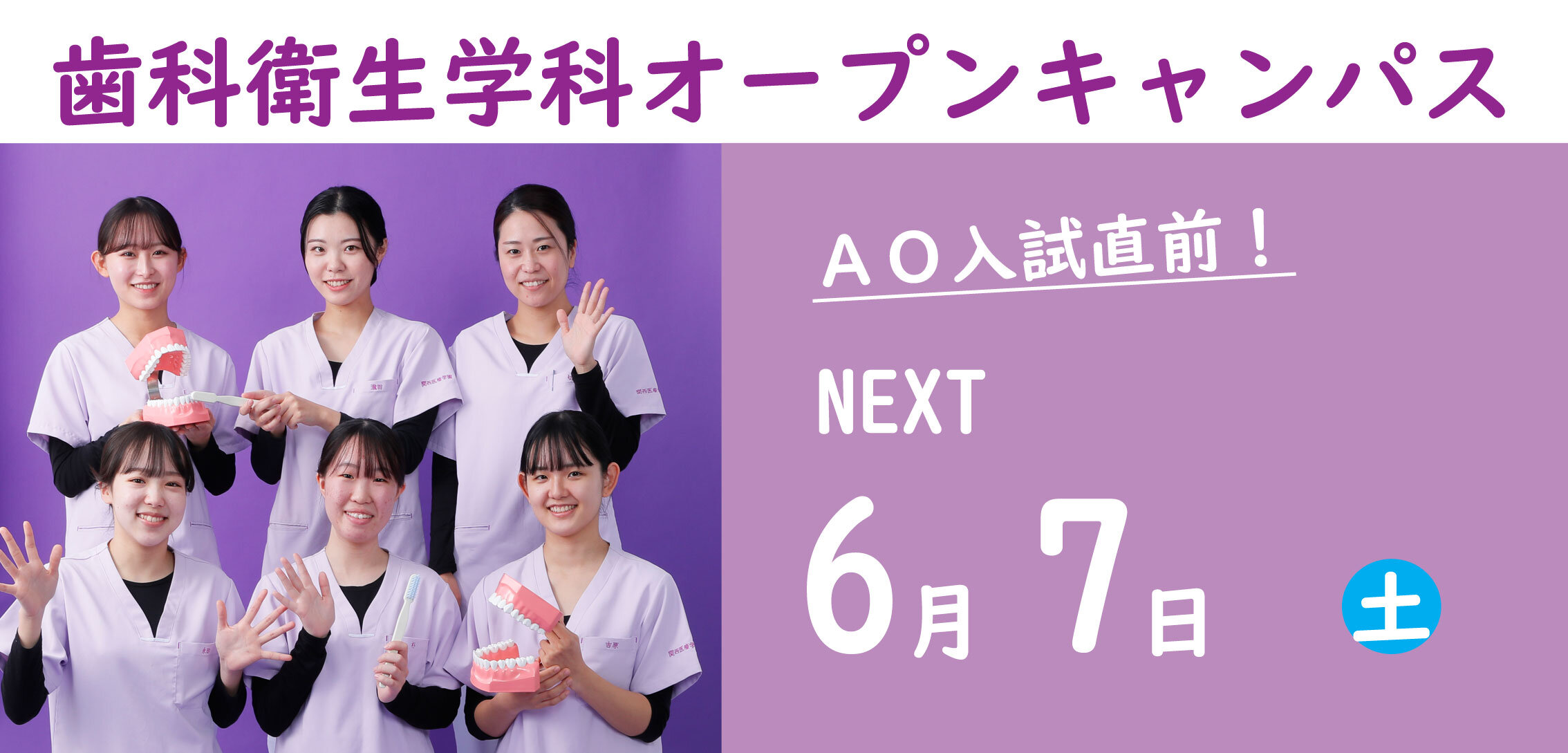 D科OC