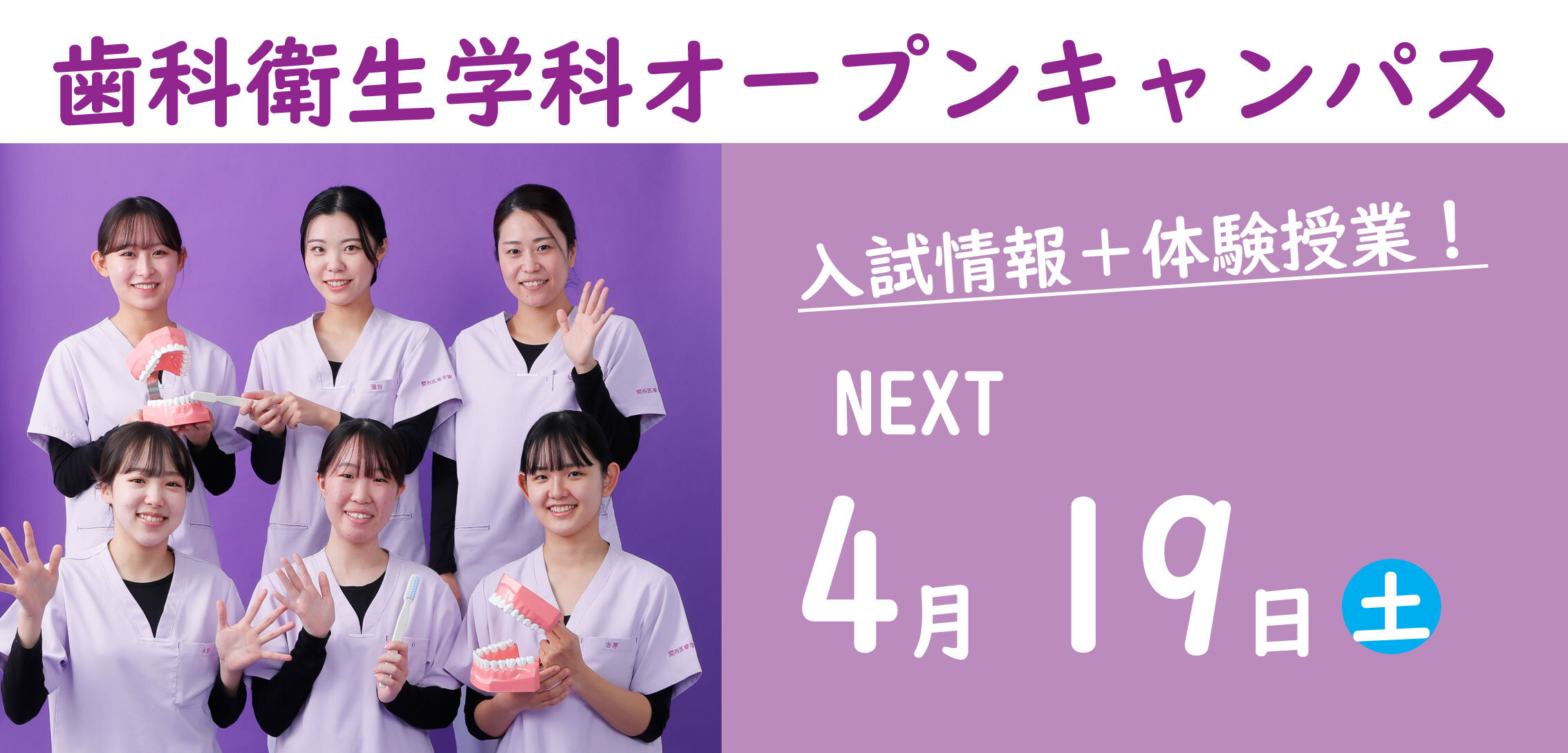 D科OC